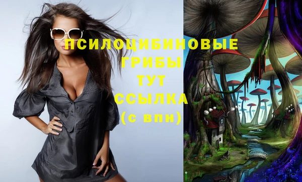 гидропоника Нея