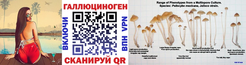 Галлюциногенные грибы Psilocybine cubensis  закладка  Рыльск 