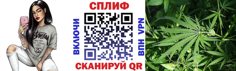 Шишки марихуана Bruce Banner  Рыльск 